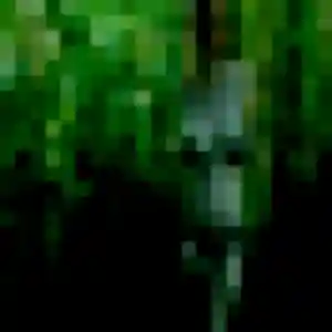 Yannick, femme de 26 ans veut plan cul à Fontaines-sur-Saône