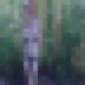 Photo de Ilona à Fontenay-le-Comte (29 ans) - plan cul sans inscription