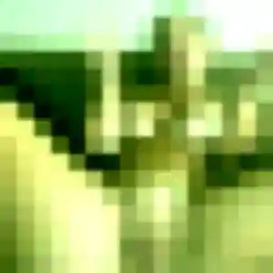 Charmante Berenice, 22 ans à Fontenilles - la contacter