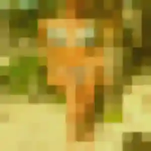 Photo privée de Mylene, 20 ans à Fosses - rencontre sans lendemain