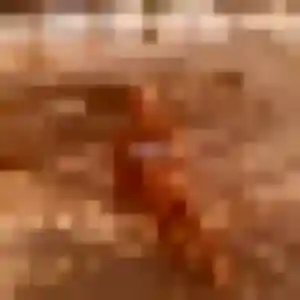 Camille de Francheville, 31 ans - plan cul sans lendemain