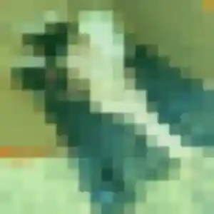 Faustine, 35 ans, veut un plan cul à Francheville