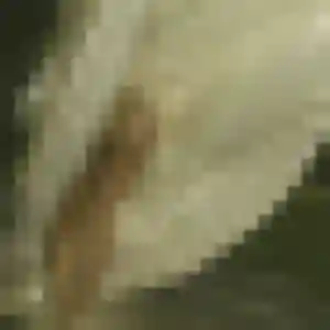 Apolline, fille de 39 ans propose plan cul à Franconville