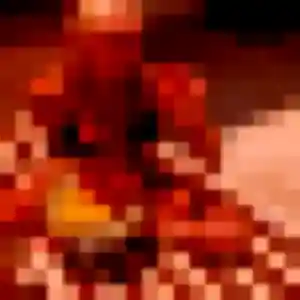 Khadija de Franqueville-Saint-Pierre, 36 ans - plan cul sans lendemain