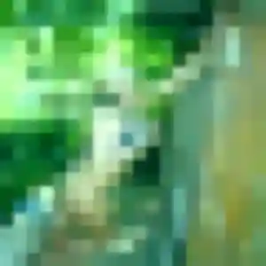 Lou-Anne, 19 ans, dispo pour plan cul à Franqueville-Saint-Pierre