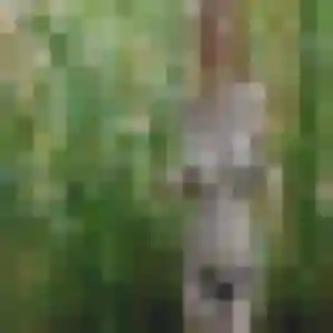 Penelope, 23 ans, veut un plan cul à Fresnes