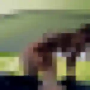 Photo privée de Flore, 31 ans à Fresnes-sur-Escaut - rencontre sans lendemain