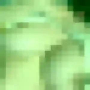 Armelle (23 ans) à Fronton propose un plan cul ce soir