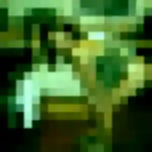 Ghislaine, 35 ans, disponible à Fronton pour une rencontre coquine