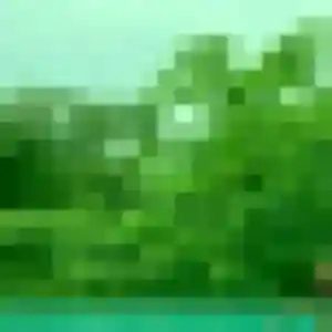 Suzanne de Frouzins, 29 ans - plan cul discret