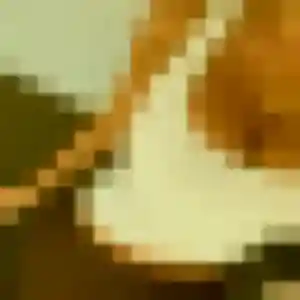 Photo de Phoebe à Gan (37 ans) - plan cul gratuit