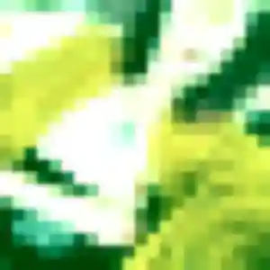 Eleonore de Gauchy, 21 ans - plan cul en toute liberté