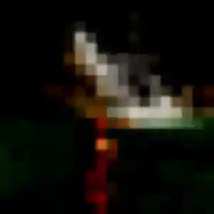 Photo de Clara à Geispolsheim (42 ans) - plan cul anonyme