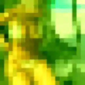 Belle Oceane, 42 ans à Gennes-Val-de-Loire - voir sa photo