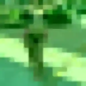 Photo sexy de Penelope, 27 ans à Gerzat - rencontre sans lendemain