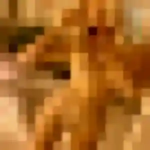 Photo privée de Leila, 45 ans à Gières - rencontre sans lendemain