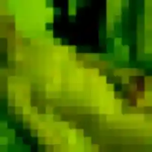 Charmante Suzanne, 42 ans à Gières - la contacter