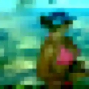 Yolande, 35 ans, disponible à Gières pour une rencontre coquine