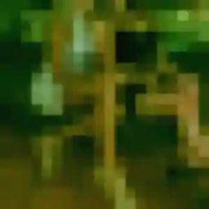 Rencontre Magalie, 24 ans à Givet en privé