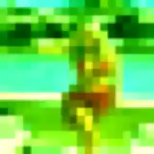 Rose-Marie, fille de 37 ans propose plan cul à Gonfreville-l'Orcher