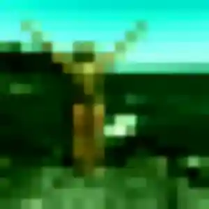 Rejoins Mia, 30 ans à Gournay-en-Bray en privé