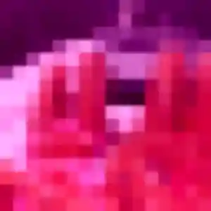 Photo de Solange à Grabels (29 ans) - plan cul discret