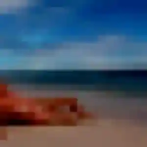 Découvre Clementine, 22 ans à Grans en privé