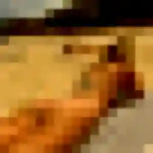 Contacte Fleur, 28 ans à Granville gratuitement