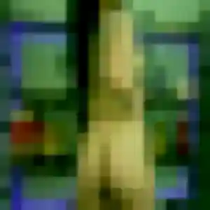 Contacte Yannick, 32 ans à Grenay gratuitement