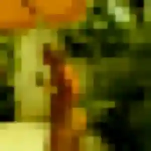 Photo de Iris à Grigny (39 ans) - plan cul sans inscription