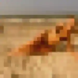 Photo de Leonore à Grigny (27 ans) - plan cul anonyme