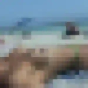 Jeanne, 32 ans, disponible à Groslay pour une rencontre coquine