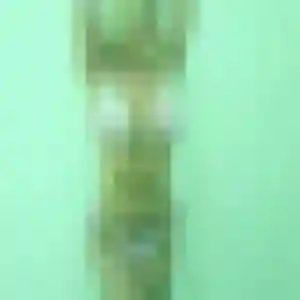 Estelle, 39 ans, cherche un plan cul à Guérande