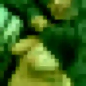 Photo privée de Ninon, 23 ans à Gueugnon - rencontre sans lendemain