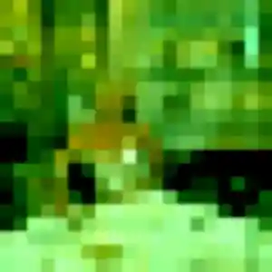 Djamila (19 ans) à Guichen attend un plan cul aujourd'hui