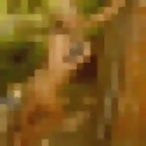 Profil de Morgane à Guingamp (21 ans) - plan cul sans inscription