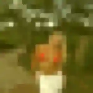 Rejoins Louisa, 40 ans à Guipavas gratuitement