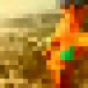 Profil de Ophelie à Gujan-Mestras (19 ans) - plan cul sans inscription