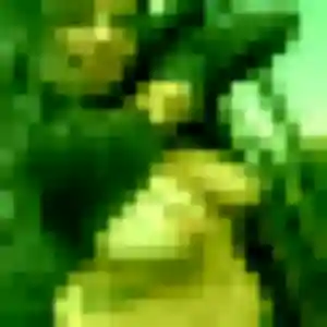 Salome, 40 ans, connectée à Haguenau pour une rencontre coquine