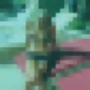 plan cul à Haguenau : profil de Wahiba, 29 ans - accès libre