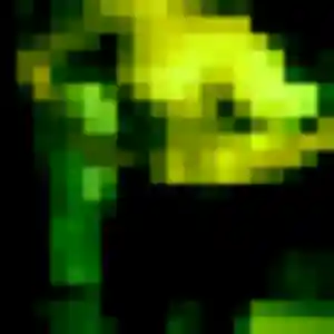 Rose-Marie, 40 ans, disponible à Haubourdin pour une rencontre coquine