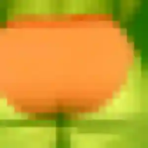 Noemie de Hautmont, 41 ans - plan cul sans prise de tête