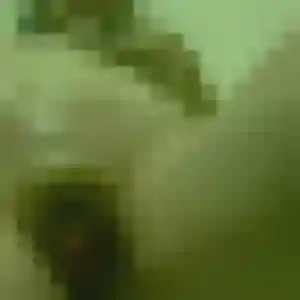 Solange de Hœnheim, 23 ans - plan cul discret