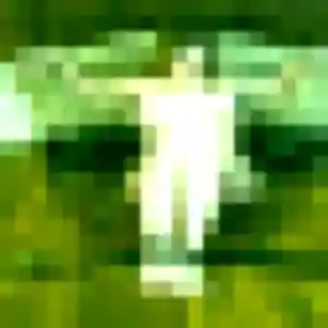 Découvre Wilhelmine, 24 ans à Honfleur gratuitement