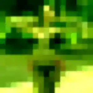 Photo exclusive de Helene, 30 ans à Hyères - plan discret