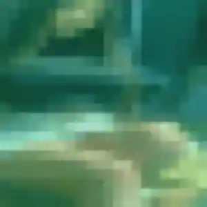 Photo sexy de Noura, 20 ans à Inzinzac-Lochrist - rencontre sans lendemain