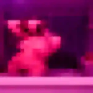 Sexy Josephine, 19 ans à Irigny - la contacter