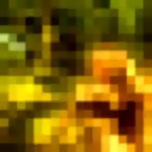 Solange de Isbergues, 29 ans - plan cul discret