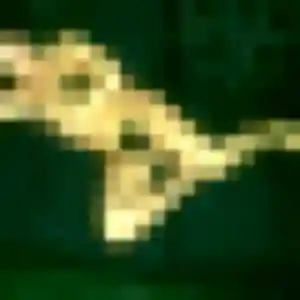 Amel de Isle, 38 ans - plan cul sans lendemain