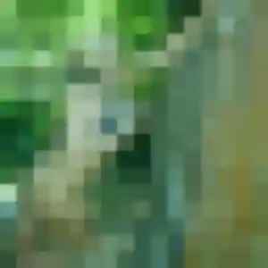 Photo privée de Louisa, 42 ans à Jarville-la-Malgrange - rencontre coquine